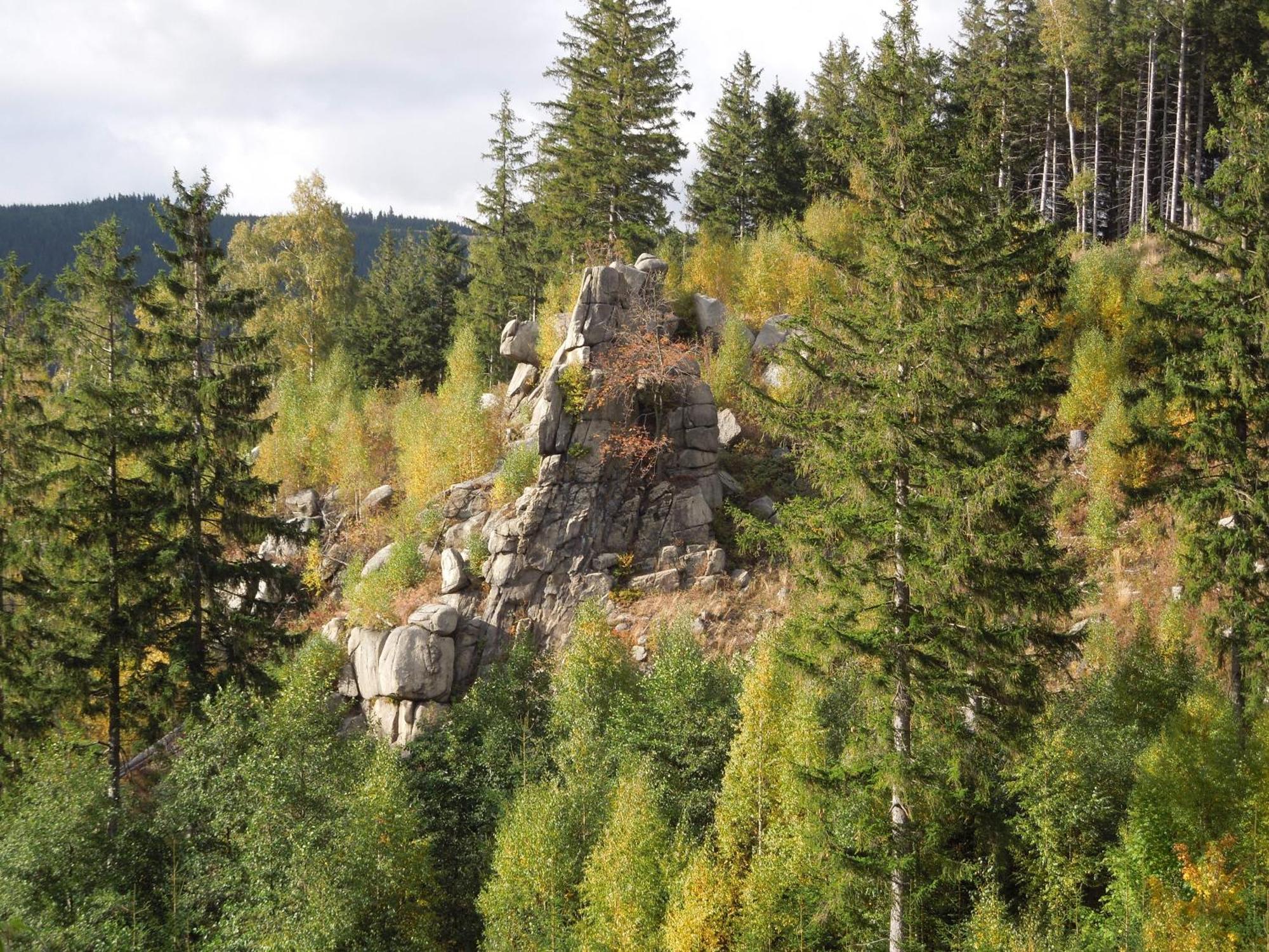 Blockhaus Bodefall Браунлаге Экстерьер фото